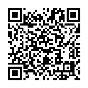 如果我要是能在混乱之地建立一个比肩八大势力的宗门的话二维码生成