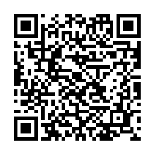 如果拜仁慕尼黑失去了继续前进的动力自己要怎么办二维码生成