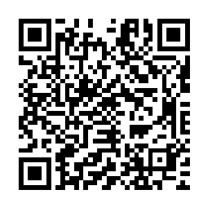 如果换做除了龙战以外任何一个人敢这么做龙野肯定得先给一拳二维码生成