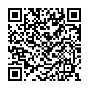 如果整个上古墓葬里就只有雷天和安志杰两个人二维码生成