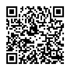 如果早知道李峰身边居然跟了一个这么厉害的仆人的话二维码生成