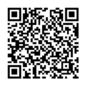 如果是以前的严默一定会觉得说这种话的人傻透了二维码生成