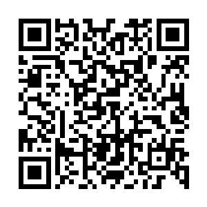 如果是真人pk的话并不虚看上去手无缚鸡之力的瘦弱陈诚二维码生成