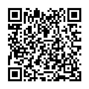 如果是让别人知道是仙丹师在收购地底世界的草药二维码生成