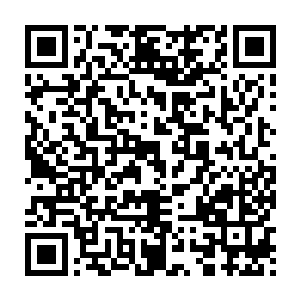 如果有这头植物生命的实力不提升的话杨风完全能够轻易的碾压他二维码生成