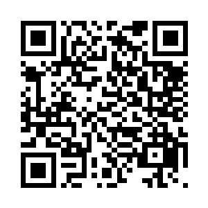 如果李思辰这会儿要再来一个新视频二维码生成