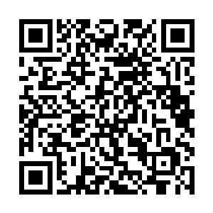 如果没有去年中秋节的时候卢向东意外地帮了他一把二维码生成