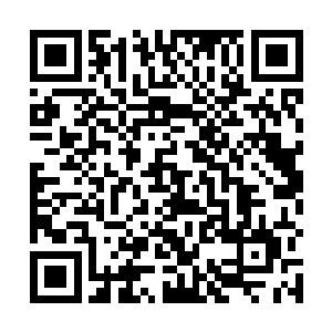 如果没有遇到我……如果我没有吃下仙丹……如果……二维码生成