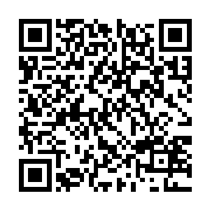 如果火龙鞭的威力真的像刑法长老说的那么大的话二维码生成