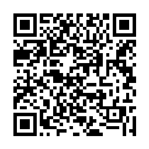 如果王氏不同意给自己的庶长子娶昌远侯府的嫡女二维码生成