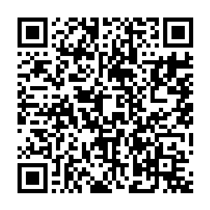 如果现在留在百草居内的人是落天羽的替身那可真就是打草惊蛇了二维码生成