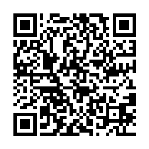 如果白家对闻人牧月加以提防并且依附了秦纵横的话二维码生成