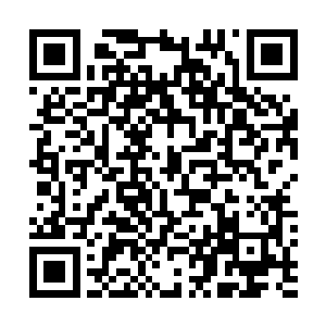 如果睡着之后再次在异梦中看到那头涂抹了口红的霸王龙二维码生成