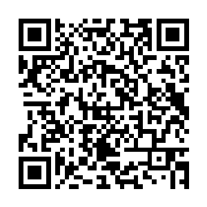 如果能闻到花香味那就好了――我们能闻到花香吗二维码生成