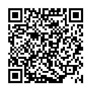 如果自己和万蛇之母同时给一个科莫音术士命令的话二维码生成