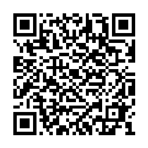 如果自己天真到以为两个绝世高手对拼有机可乘二维码生成