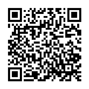 如果自己想要额外获得更多剧情信息就必须自己投入更多能量二维码生成
