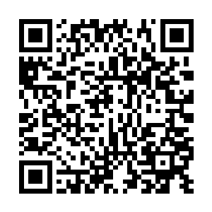 如果苏落这时候看到踏雪无痕墨角腾云兽表情的话二维码生成