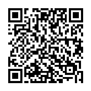 如果蕊蕊把它当做是一场为了爱情而必须付出代价的战争二维码生成