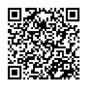 如果被龙管家知道人族上岛……苏姑娘肯定会被赶出去的二维码生成