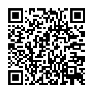 如果西之鹤和白小云知道西欢儿是被他们两个给气晕的二维码生成