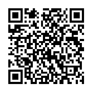 如果要让我们江州牺牲法律的公正来迎合你们的资金投入二维码生成