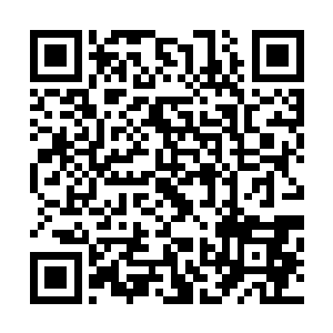 如果让叶枫哥哥知道他们为了他而死……他一定会很难过的二维码生成