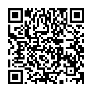 如果让央爷知道苏叶拿这笔钱来向刺猪道歉恐怕胡子都会气弯二维码生成