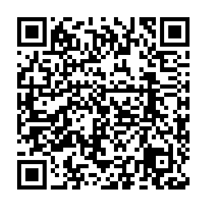 如果许紫烟在此就能够看出她的长相和祭坛上的那个人族女子十分相像二维码生成