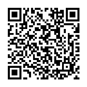 如果说一开始邪皇圣者击杀韩风只是因为大长老的命令二维码生成
