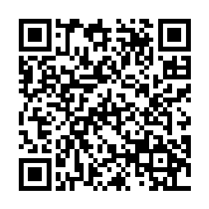 如果说之前孙子轩体内的阳力通道壁管是黄土粘合成的二维码生成
