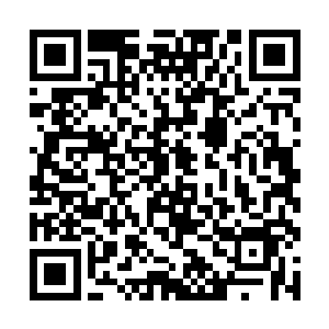 如果说之前的苏明不过是一个脸上带着明显的婴儿肥二维码生成