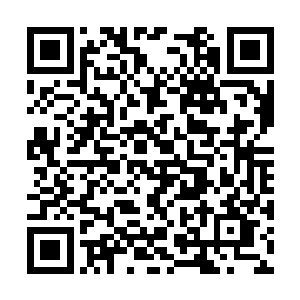 如果说从前她对这双儿女还有一丝一毫的在意的话二维码生成