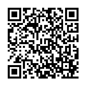 如果说刚才仲华还有点不明白陶成军调查丁长生是什么意思二维码生成