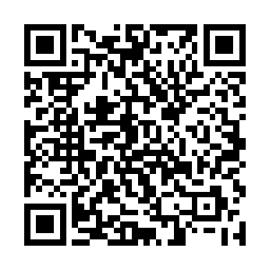 如果说原来的苍云圣火形成的火鸟还只是个初生婴儿二维码生成