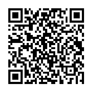 如果说原版pcR还像是隔着一层纱布似的令人不能尽兴二维码生成