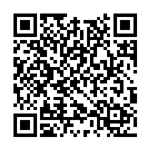 如果说太乙真人的身上发生了翻天覆地的变化的话二维码生成
