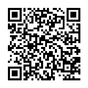 如果说她的怨气都被引到了那藏阴地的雅清身上的话二维码生成