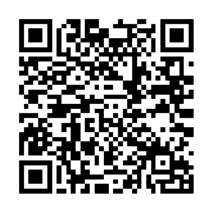 如果说子轩门的那些菜鸟仙医能够进入到地府学习二维码生成