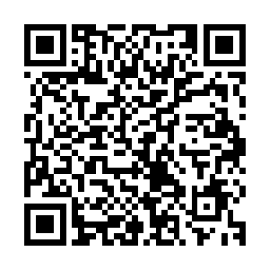 如果说是黑暗议会的议会长一个月没有露面那他不会有一点惊讶二维码生成