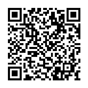 如果说紫昙金小楼还能被唐劫以苍天戟砸开的话二维码生成