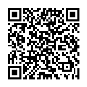 如果说红路领军只是用了这个技巧杀了十几个人的话二维码生成