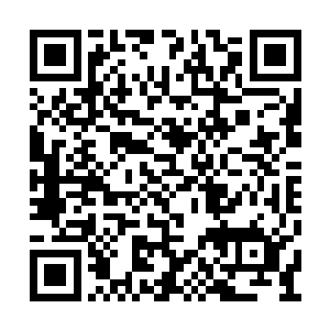 如果说羽菲和司空嫣然这些公众人物他知道的放二维码生成