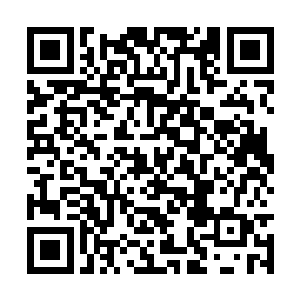 如果说艾琳第一次的亮相是一头择人而噬的霸王龙二维码生成