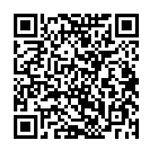 如果说这辆车上的人还有人一直保持着清醒思维的话二维码生成