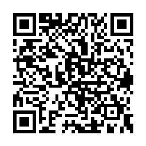 如果说那些年的岁月里他的命中有那么一抹亮色二维码生成