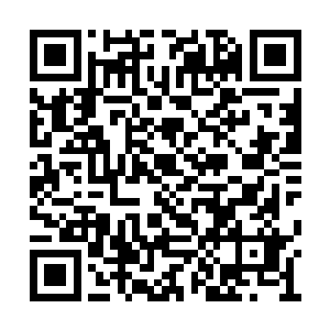 如果说镇长家有人看袁二不顺眼要出手的话……二维码生成