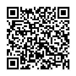 如果还有机会让他以同样迅捷的速度冲击武帝层次的话二维码生成