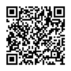 如果还猜不出常平府神神秘秘的举动是要干什么二维码生成