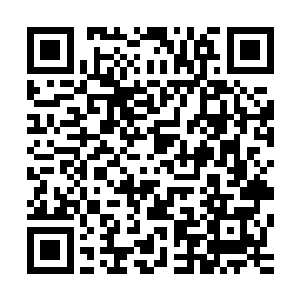 如果这个实力不足的演员居然还凭借自身关系公关出一尊大奖二维码生成